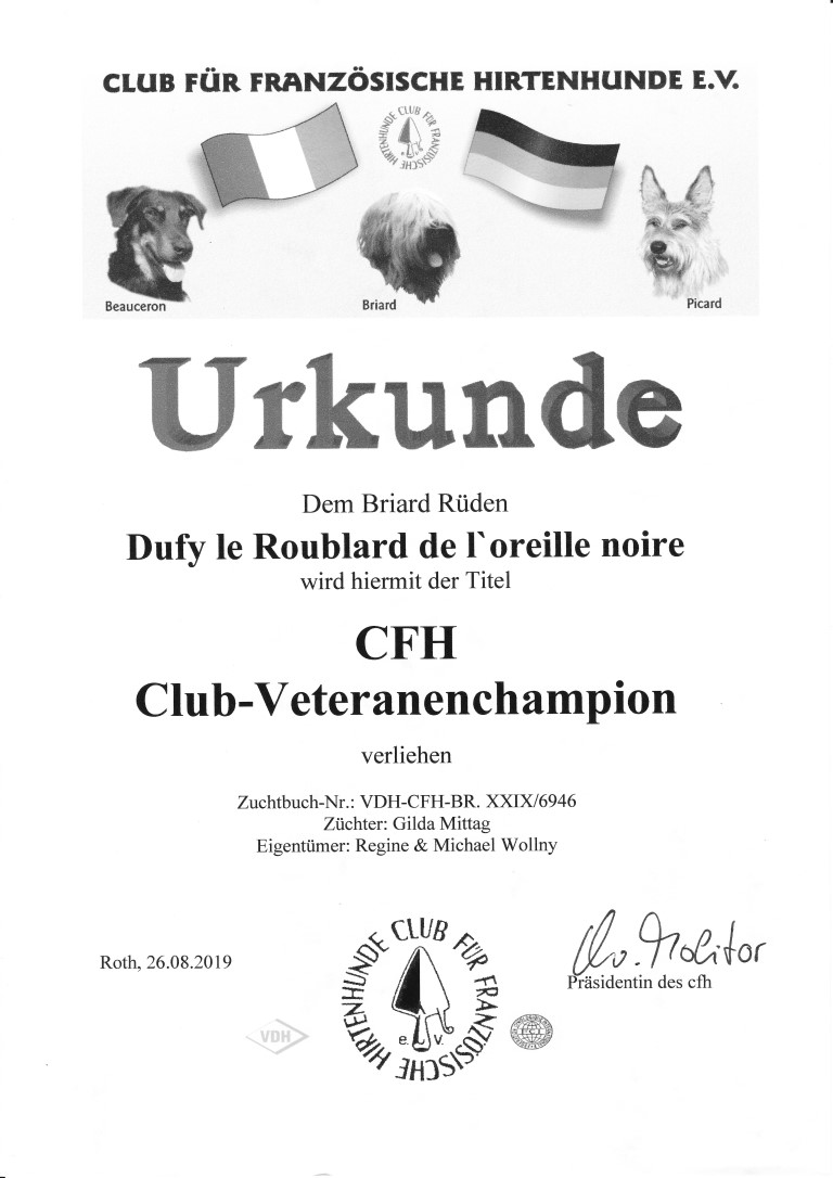 Dufy Urkunde Vet Club Champion CFH Medium