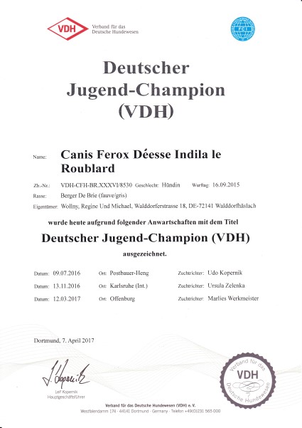 Indila Urkunde VDH Jugend Champion Custom